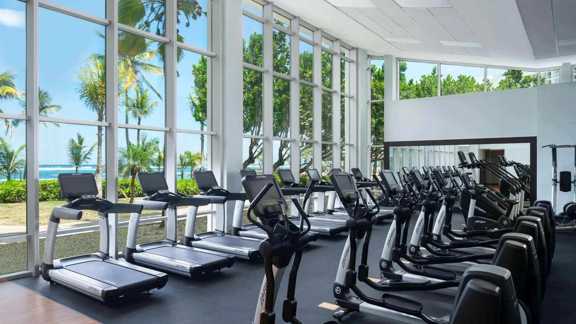 Resort Caribe Hilton Hotel San Juan